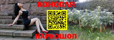a pvp Ставрополь