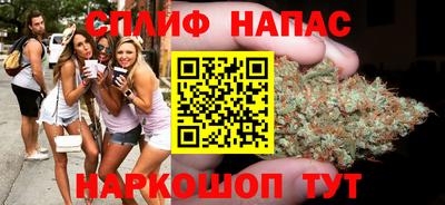 a pvp Ставрополь