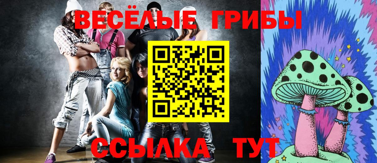 Кимовск  Галлюциногенные грибы мухоморы  Вход с VPN  Псилоцибиновые грибы прущие грибы 